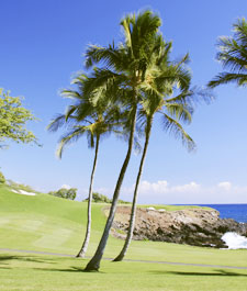 Exclusive Big Island Membership