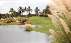 Access Hawaii Club, Luxury Hawaii